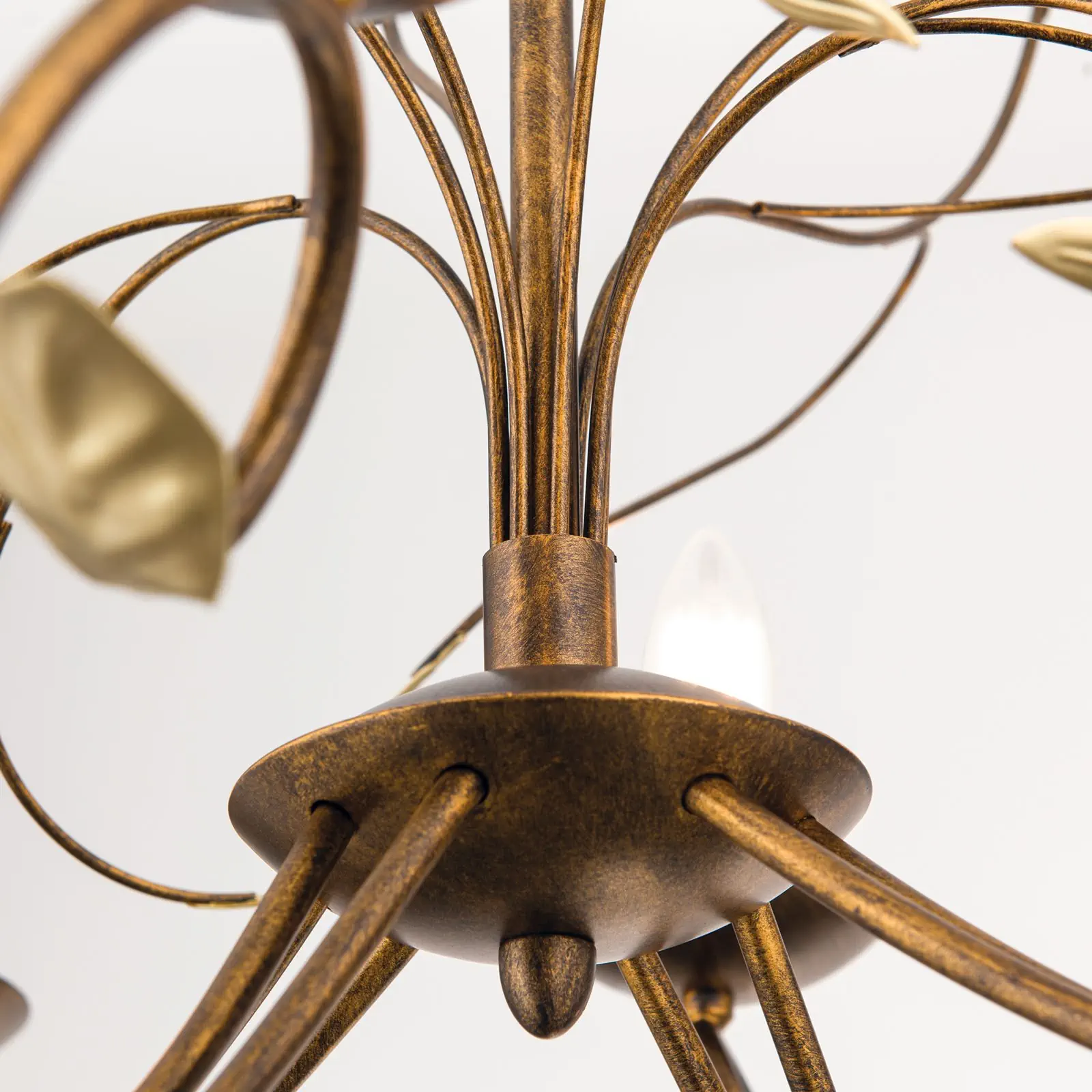 Luster LUCA, 8 izvora svetla, antik - 5