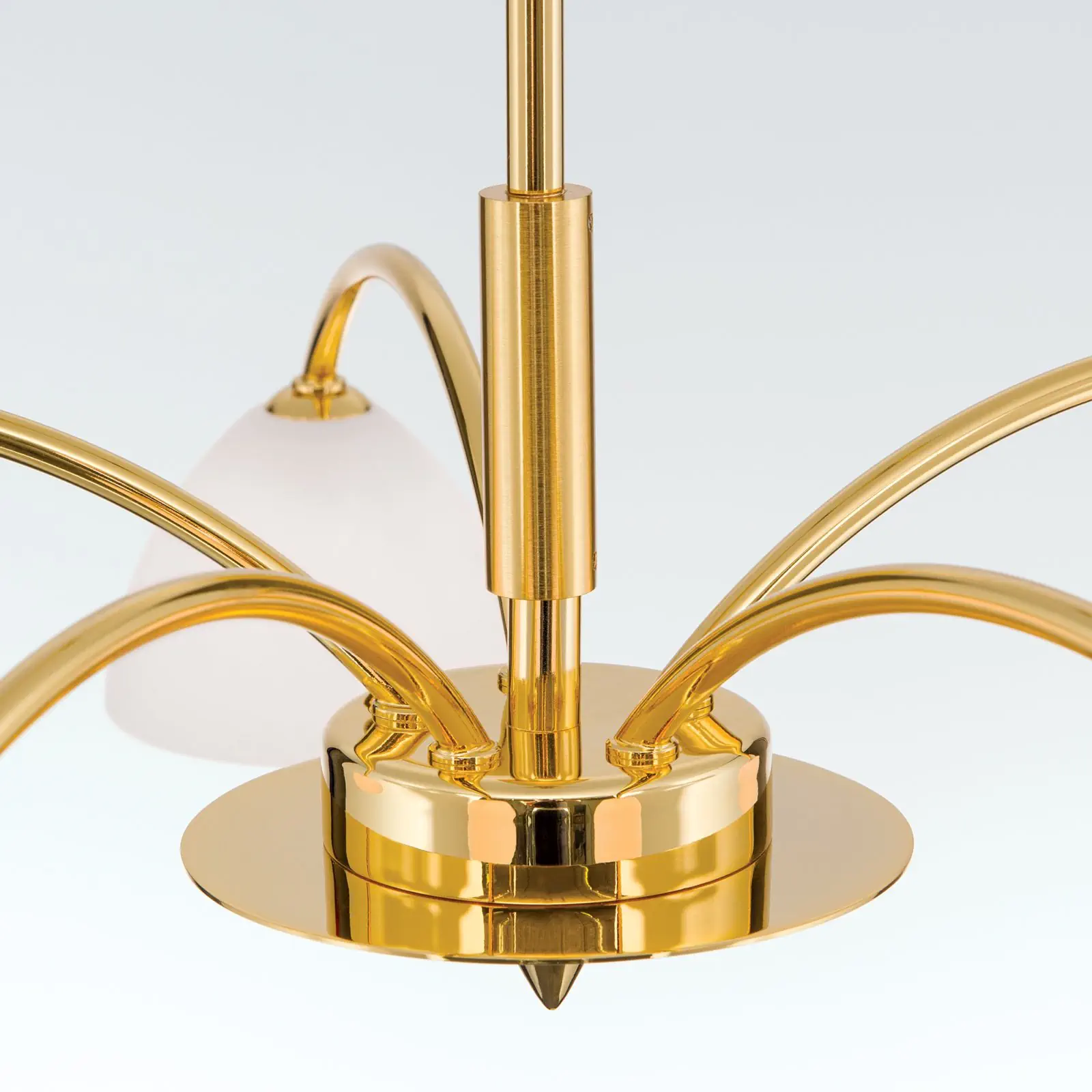 Luster OPALDESIGN, 5 izvora svetla, mat zlatna, sa opalnim staklom - 5