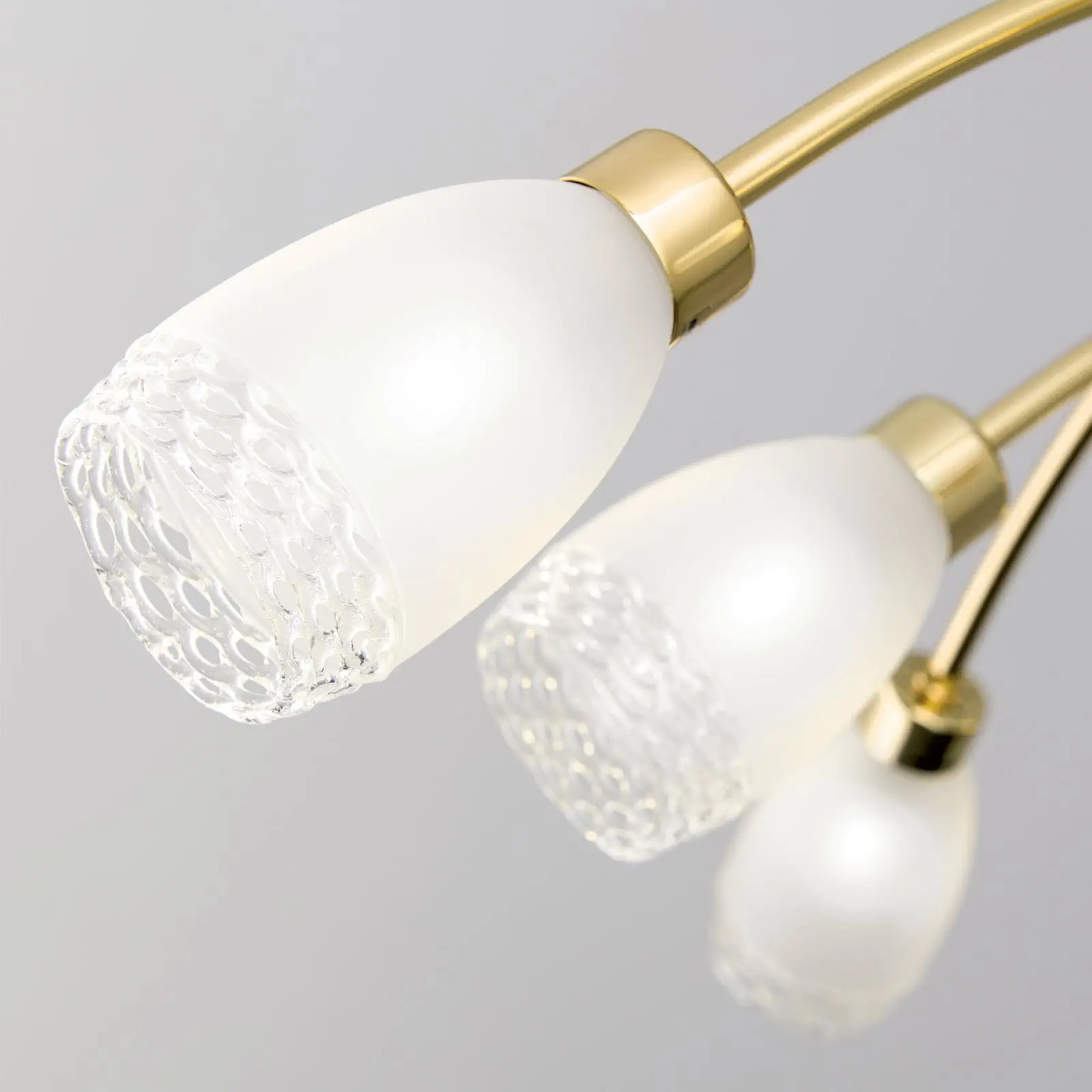 Luster CARLA, 8 izvora svetla, sjajni mesing sa satiniranim difuznim staklima - 5