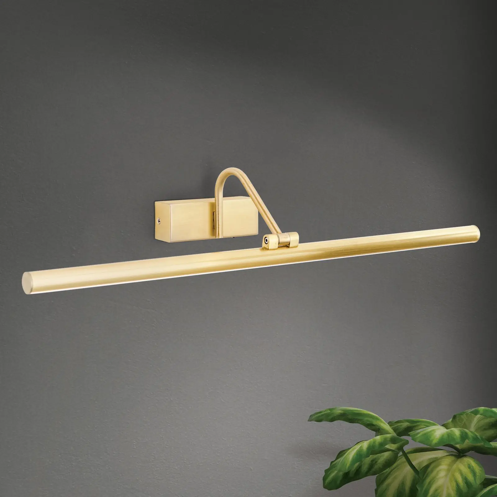 LED lampa za sliku PORTRAIT, mat zlatna, 60 cm - 3