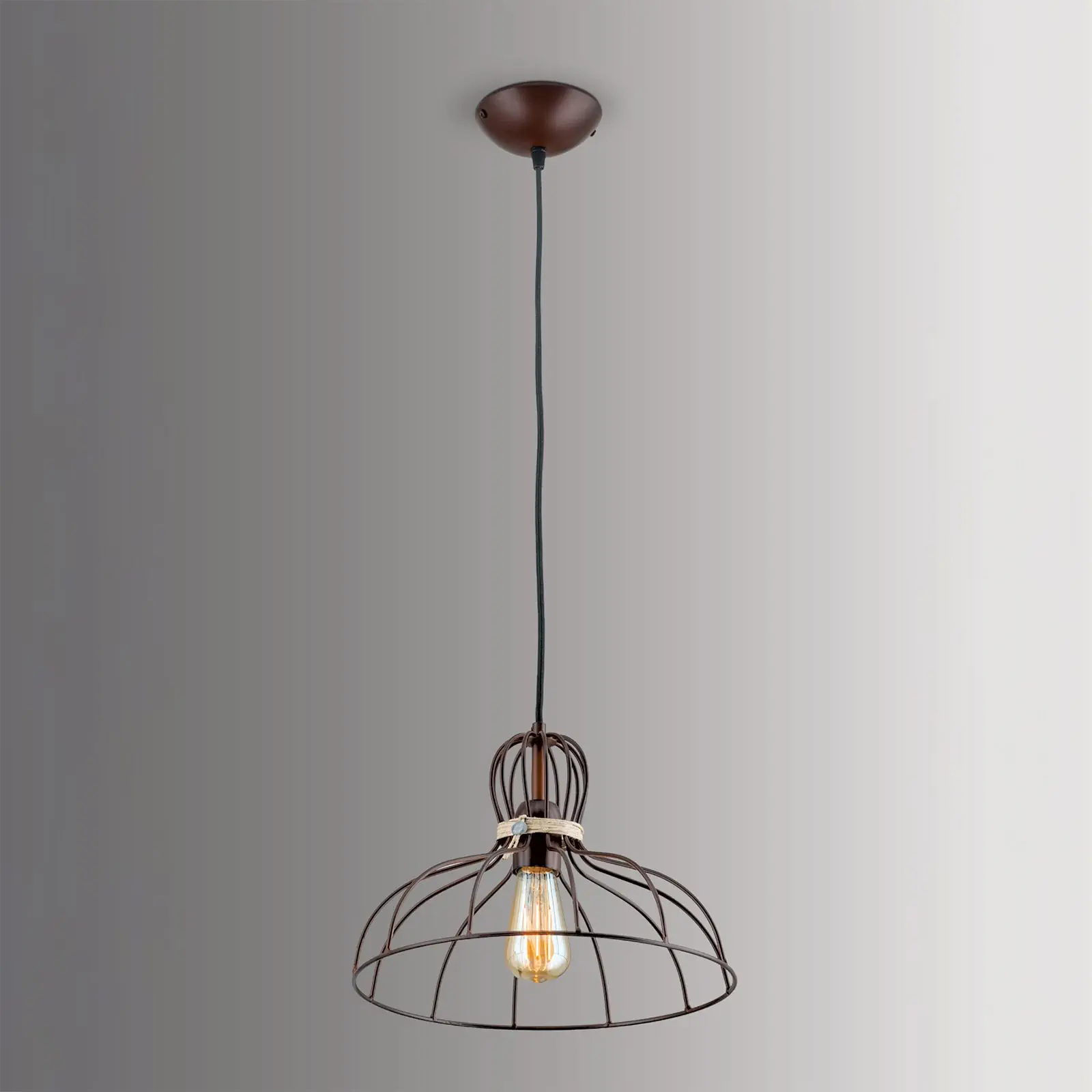 Viseća lampa EMIL, 1 izvor svetla, 33cm - 2