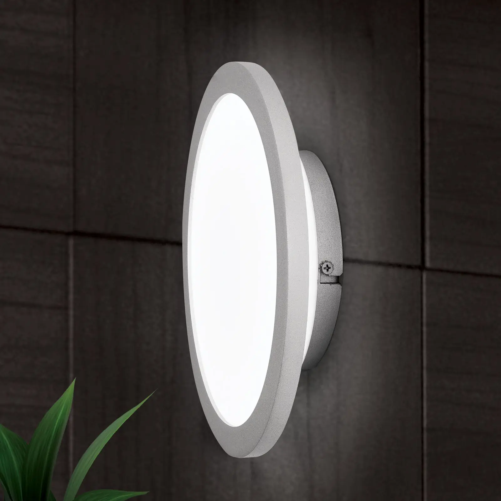 LED plafonska lampa GREG, 25 cm - 2