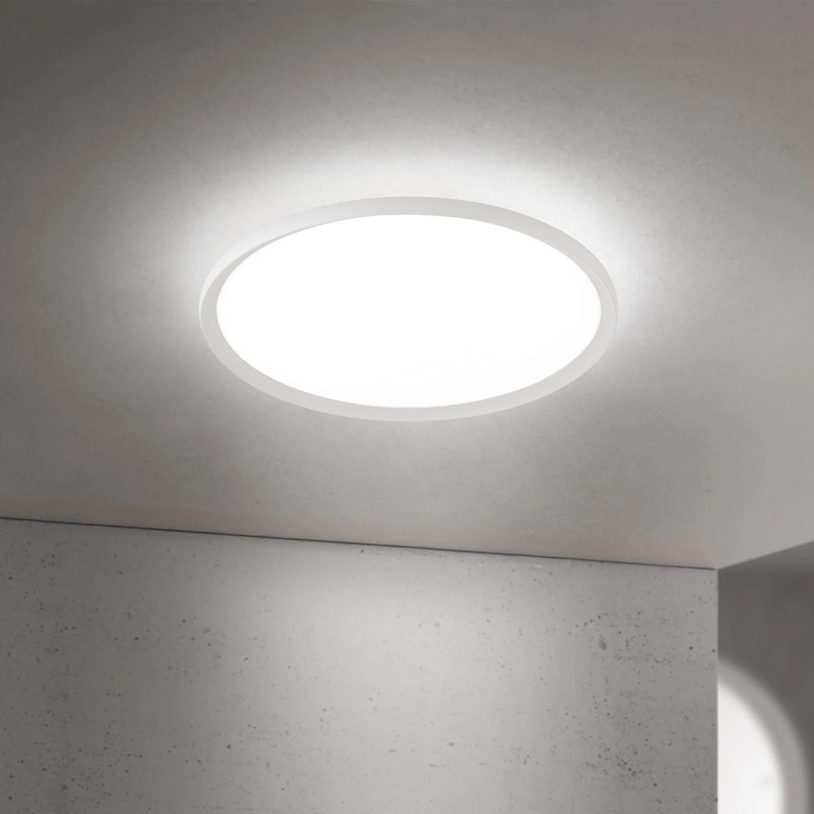 LED plafonska lampa KANT, Ø 60 cm, bela - 1