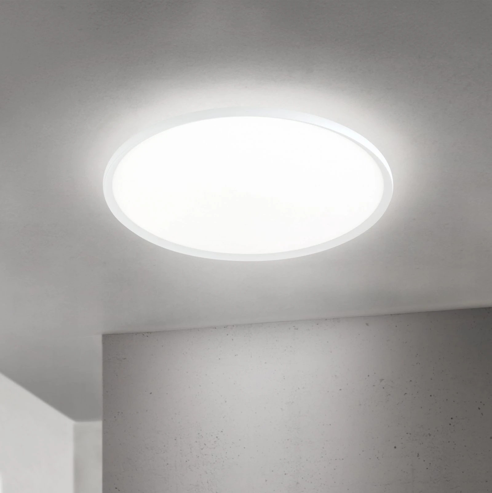 LED plafonska lampa KANT, Ø 80 cm, bela - 1