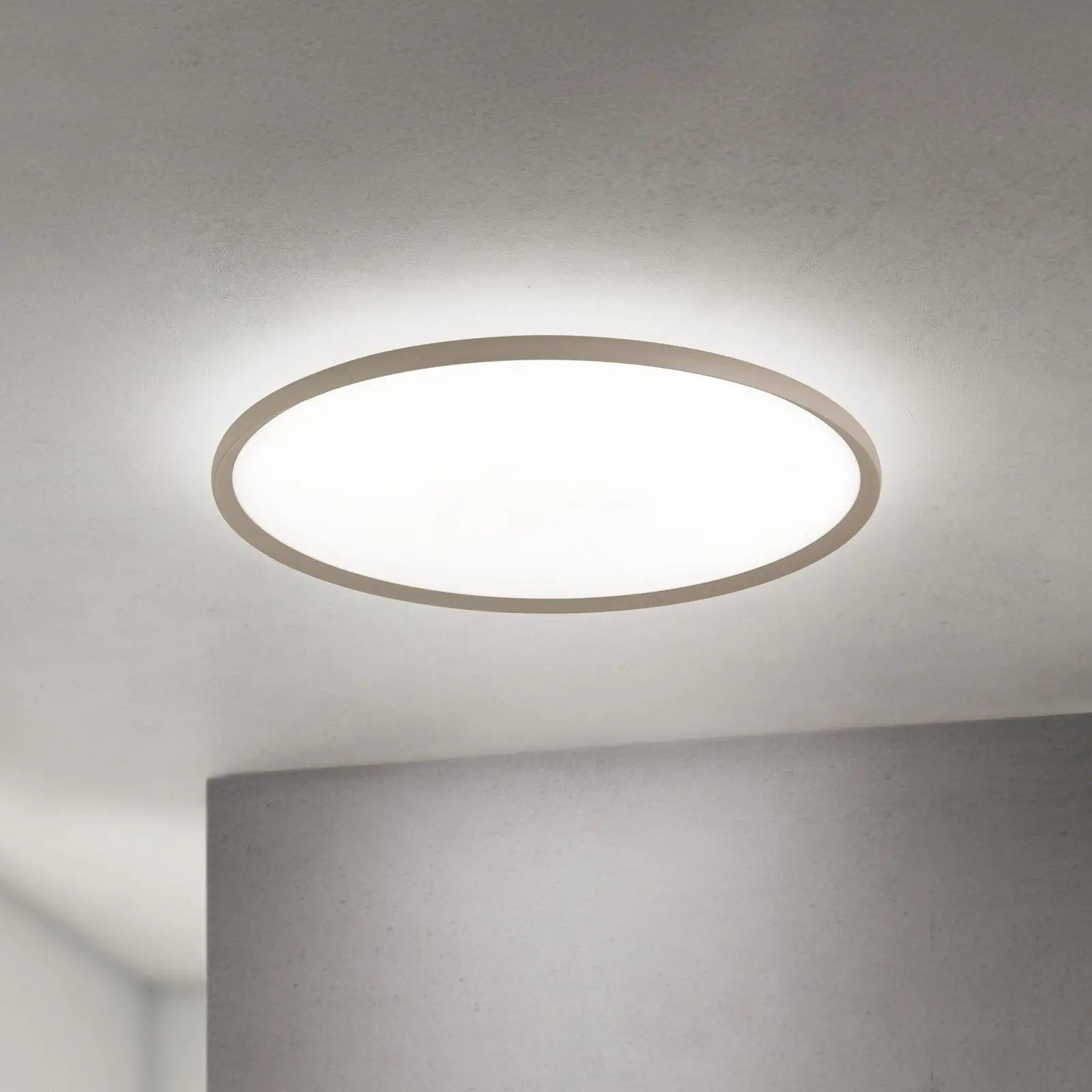 LED plafonska lampa KANT, Ø 80 cm, kaki - 2