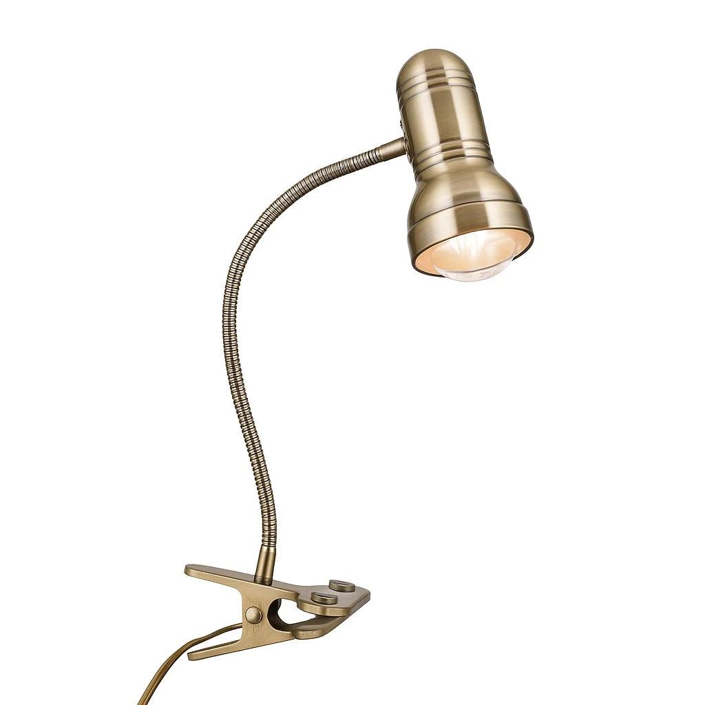 Spot lampa sa stezaljkom WILHELM, patina, dugačka - 9