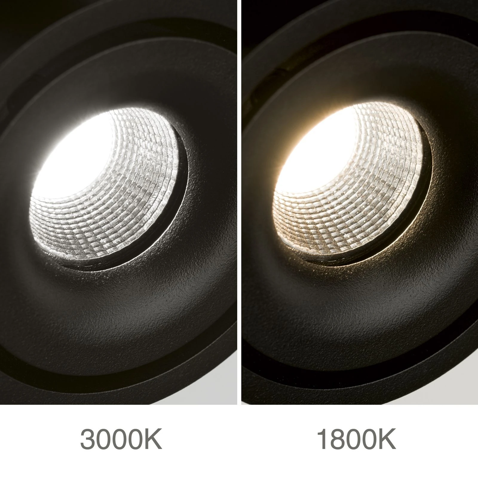 Spot lampa SPECTER, 2 izvora svetla, Crna - 6