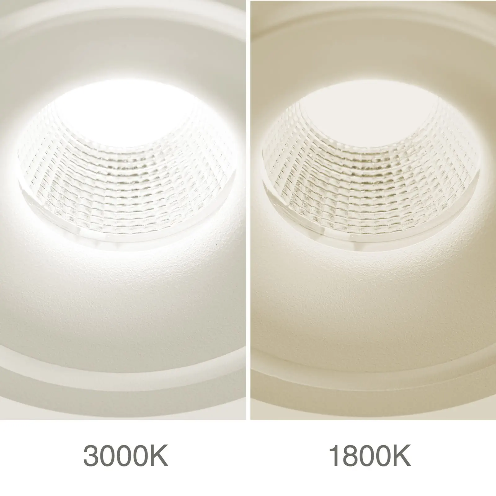 Spot lampa SPECTER, 2 izvora svetla, bela - 6