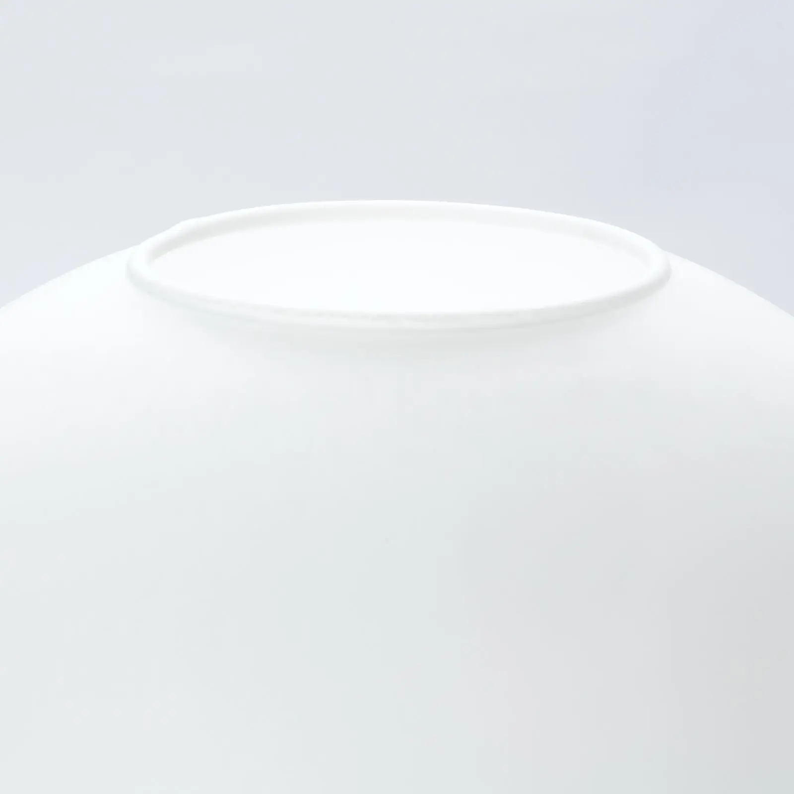 Sferno staklo 6-1691, Ø 300 mm, opal svileno mat - 2
